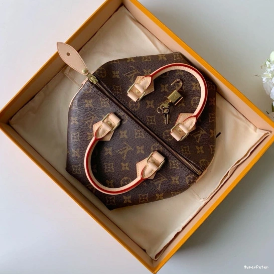 25 SPEEDY Vuitton Louis 0812